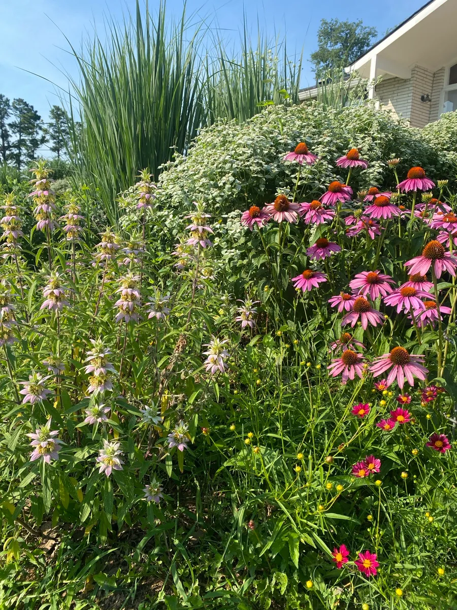 Culver’s Root Gardens photo 1