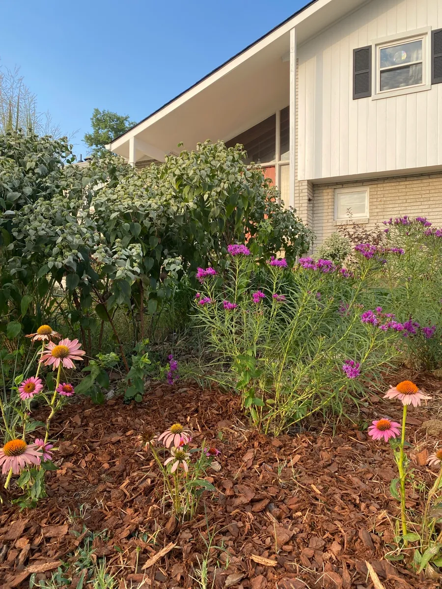 Culver’s Root Gardens photo 3