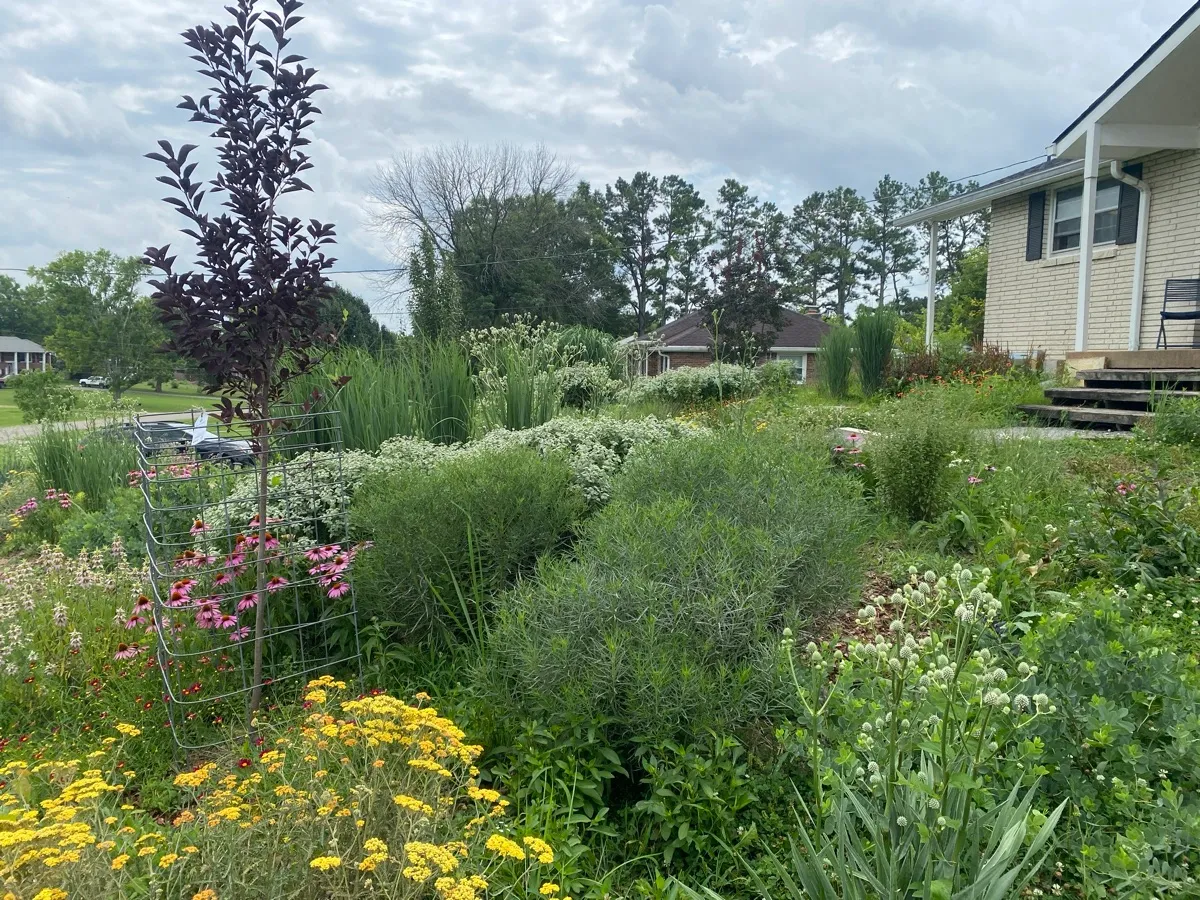 Culver’s Root Gardens photo 5