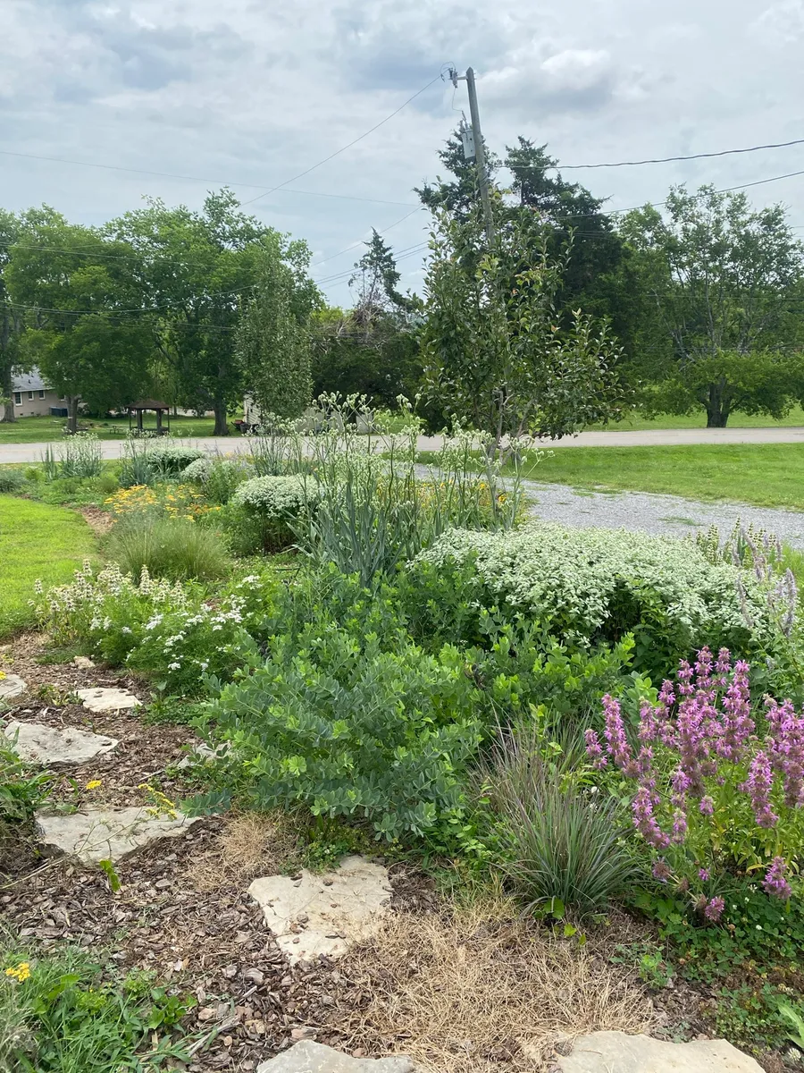 Culver’s Root Gardens photo 8