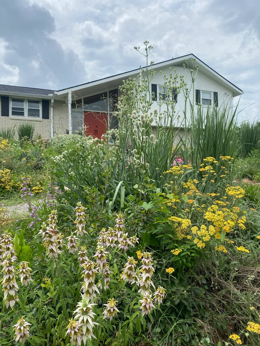 Culver’s Root Gardens photo 14