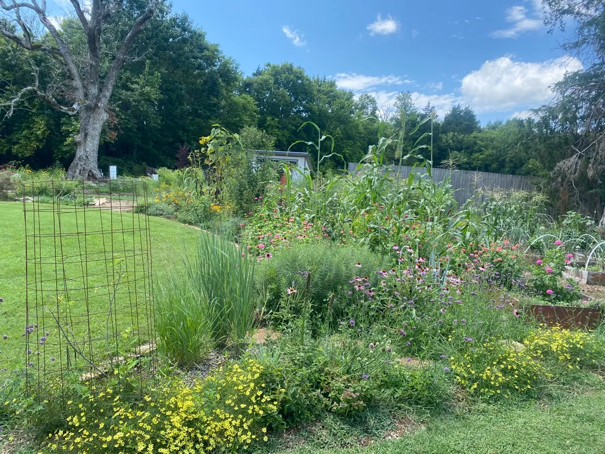 Culver’s Root Gardens photo 9