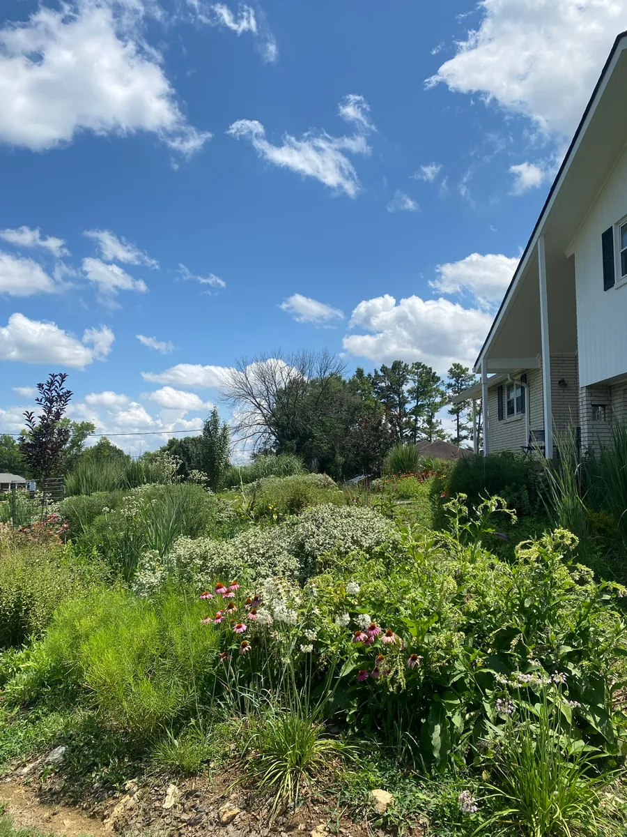 Culver’s Root Gardens photo 10