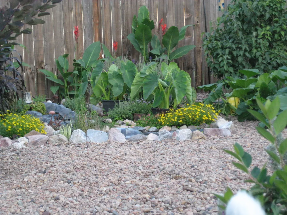 High Plains Hideout photo 21