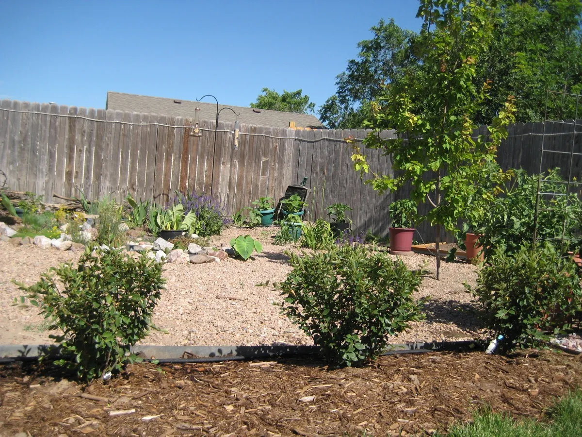 High Plains Hideout photo 20