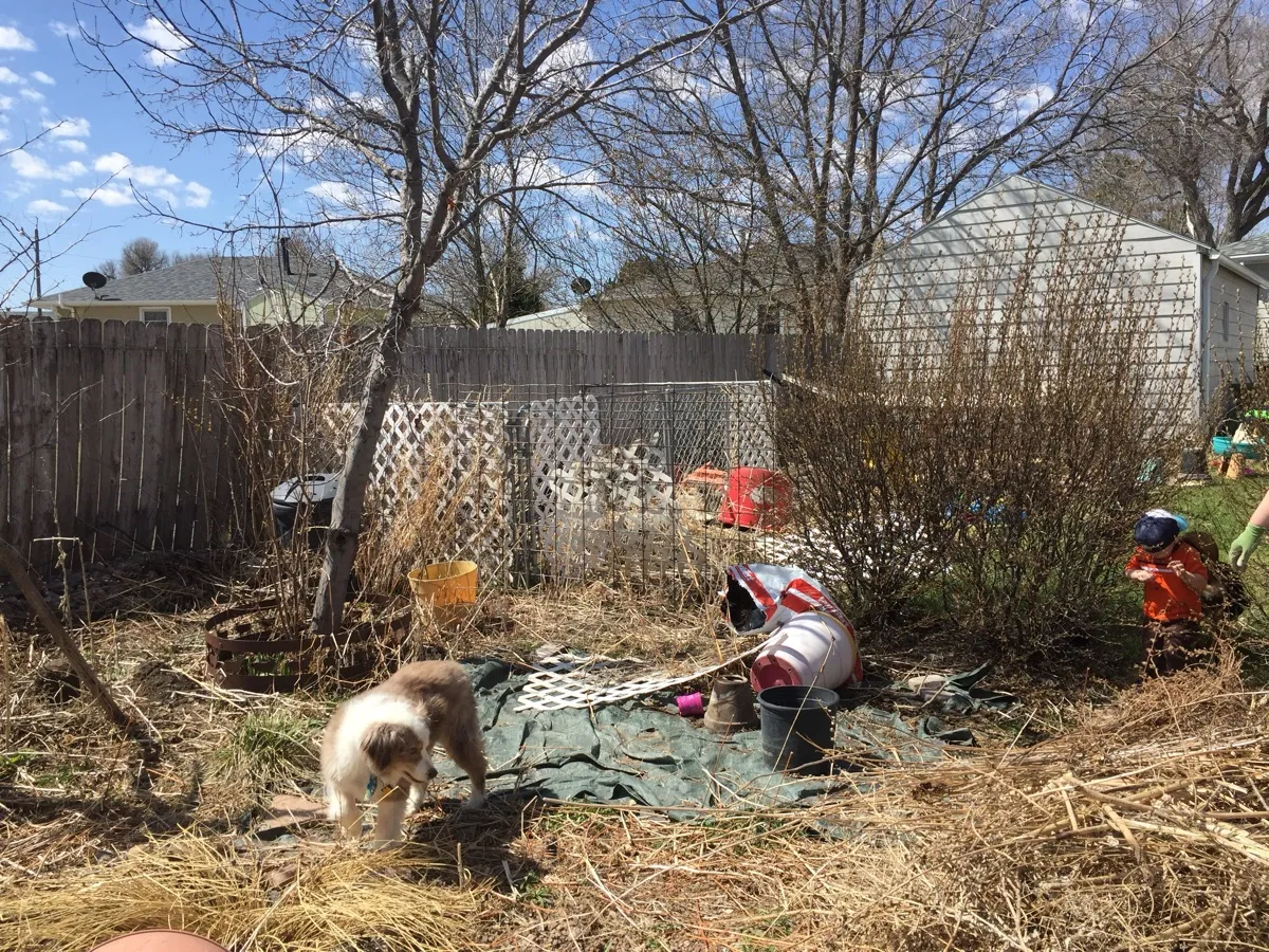 High Plains Hideout photo 10