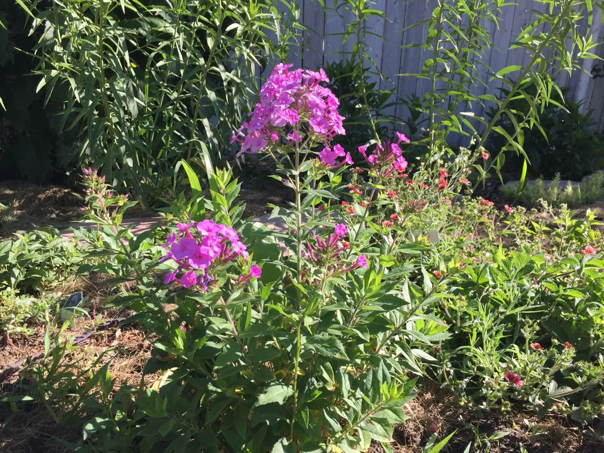 High Plains Hideout photo 4