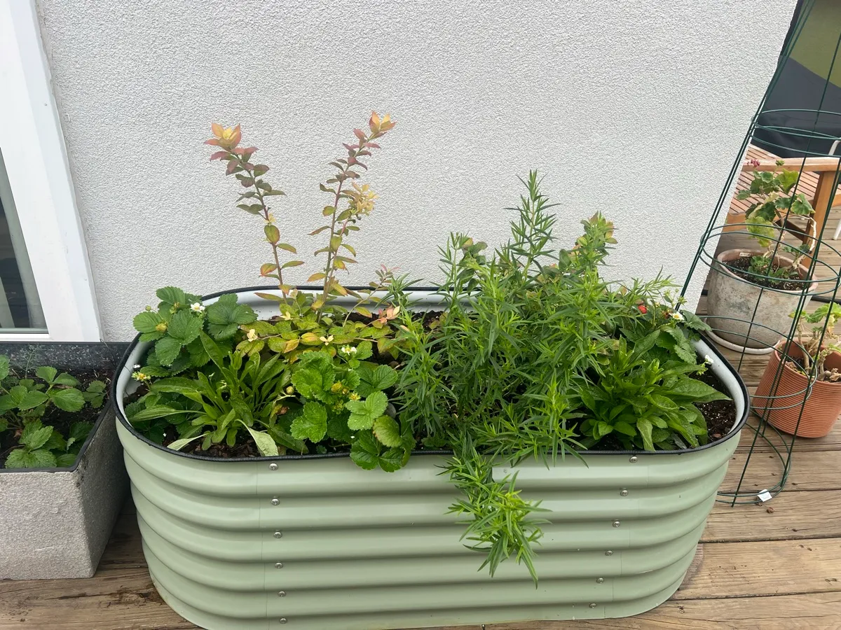 LittleSwallowGarden photo 4