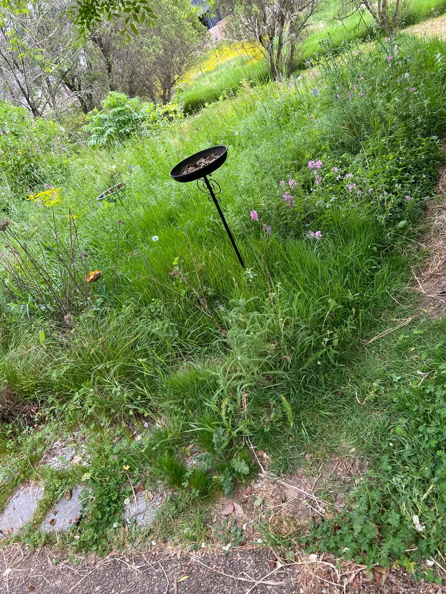 Humble Bee Haven photo 1