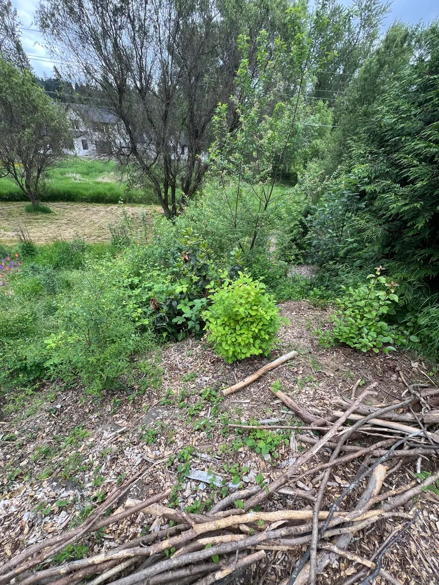 Humble Bee Haven photo 2
