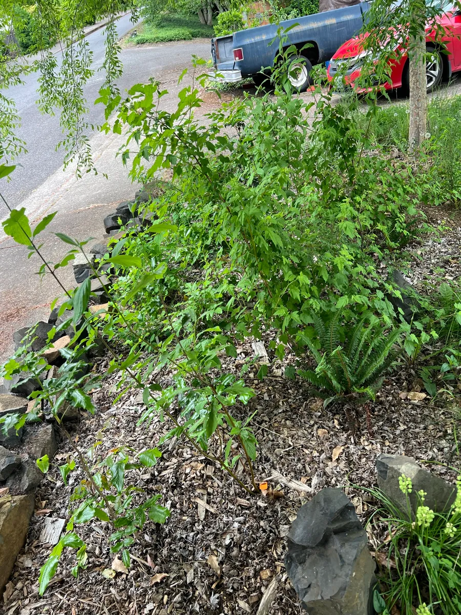 Humble Bee Haven photo 3