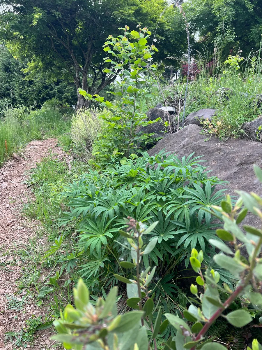Humble Bee Haven photo 4