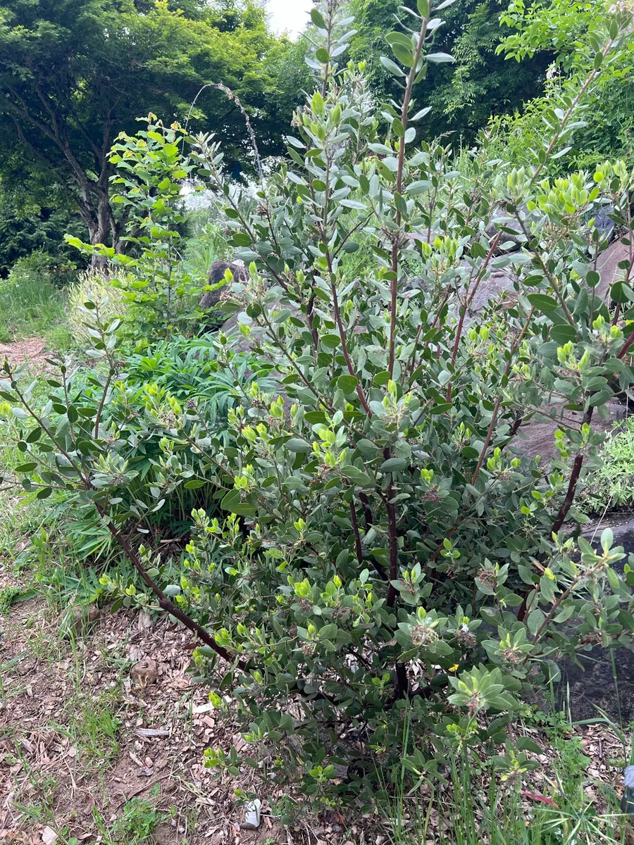 Humble Bee Haven photo 5