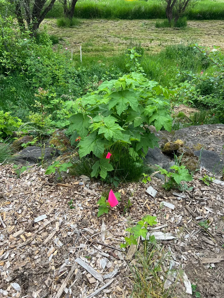 Humble Bee Haven photo 7
