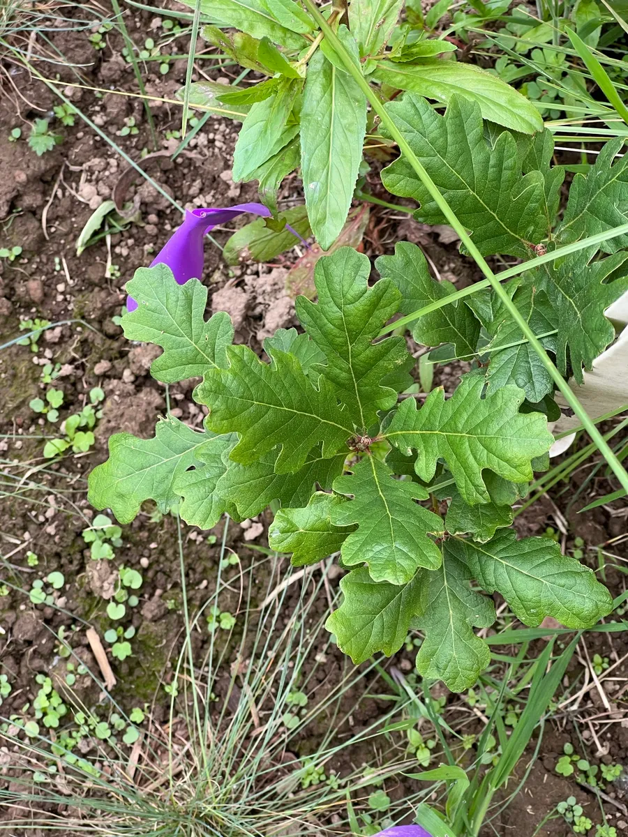 Humble Bee Haven photo 10
