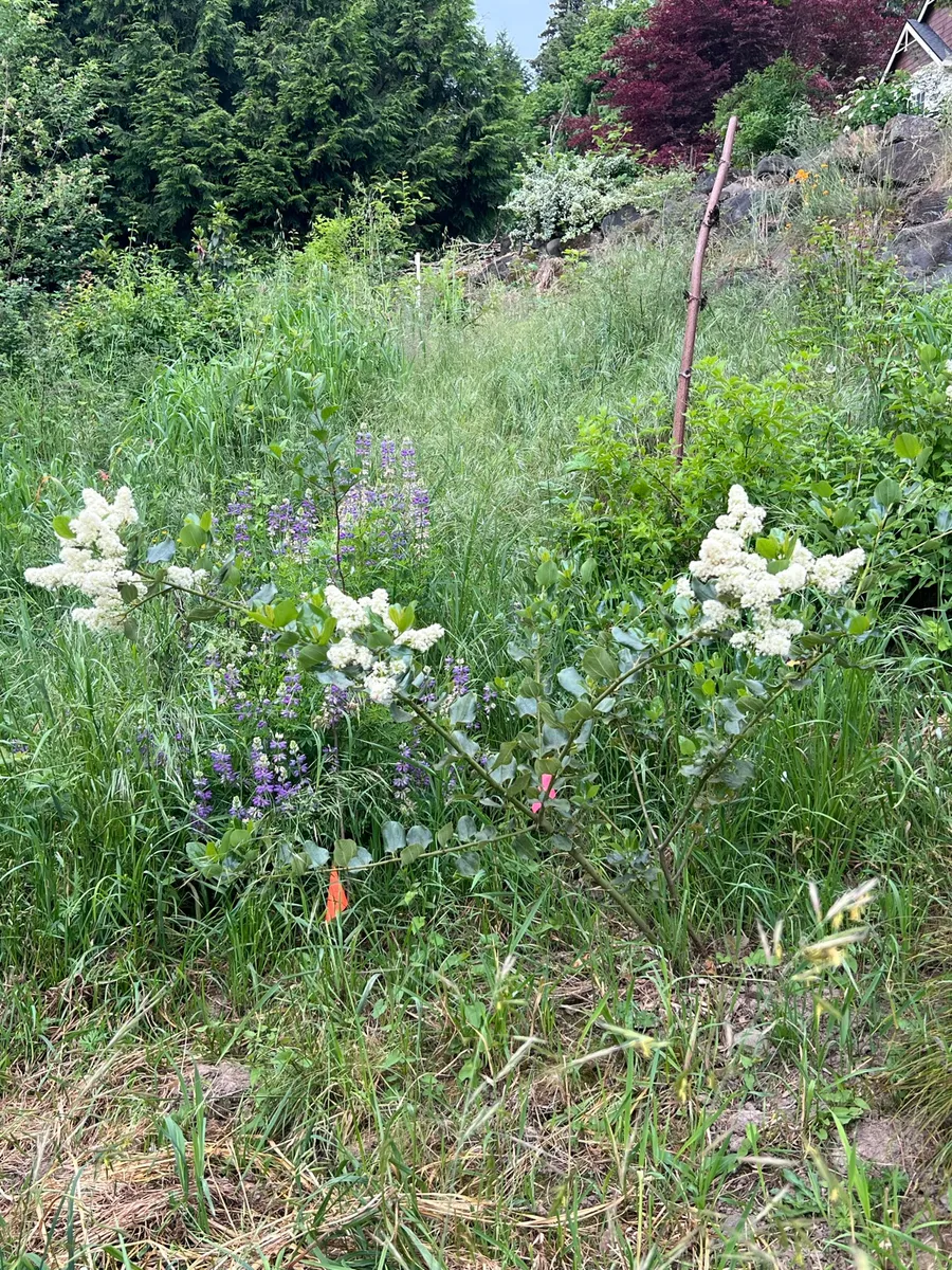 Humble Bee Haven photo 11