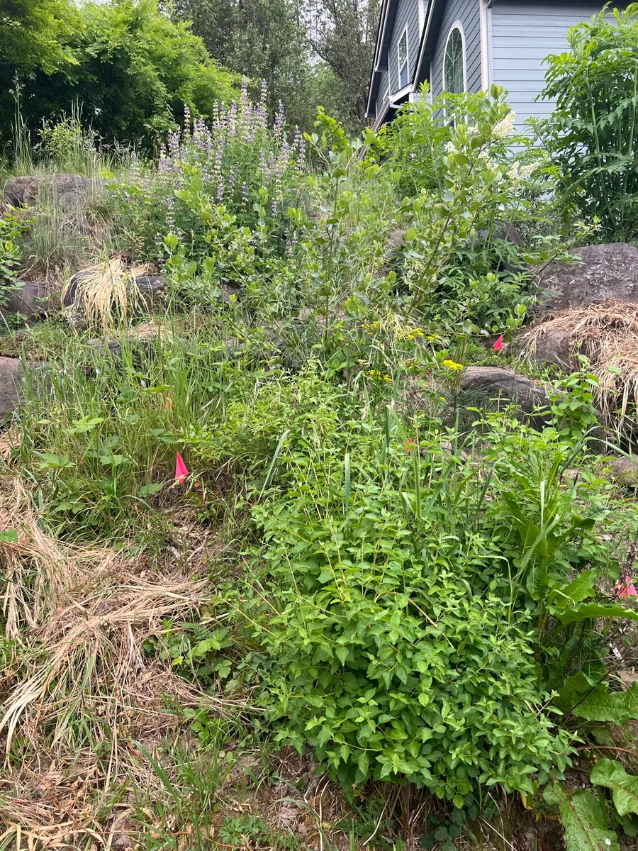 Humble Bee Haven photo 12