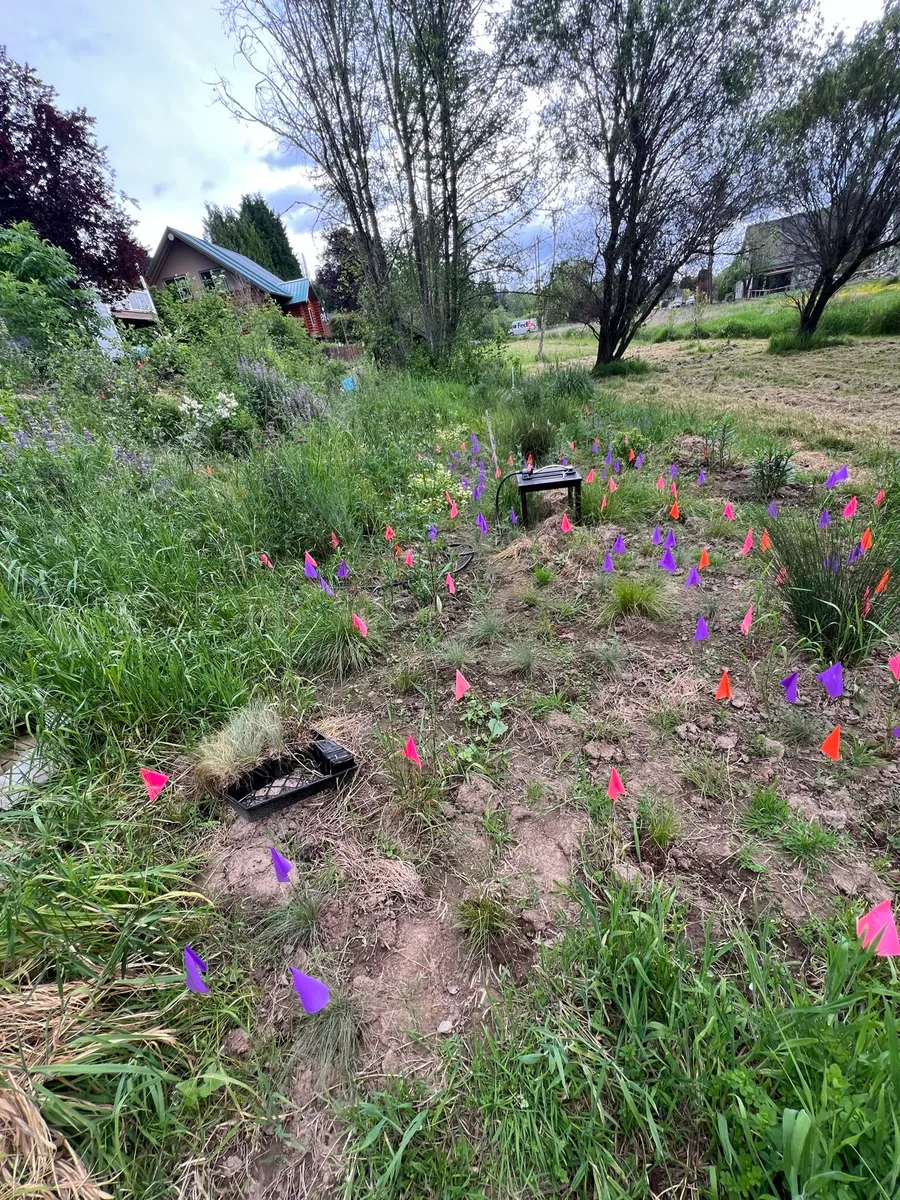Humble Bee Haven photo 13