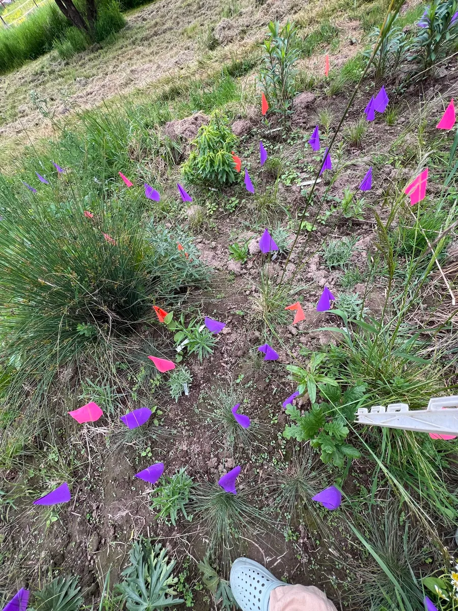 Humble Bee Haven photo 14