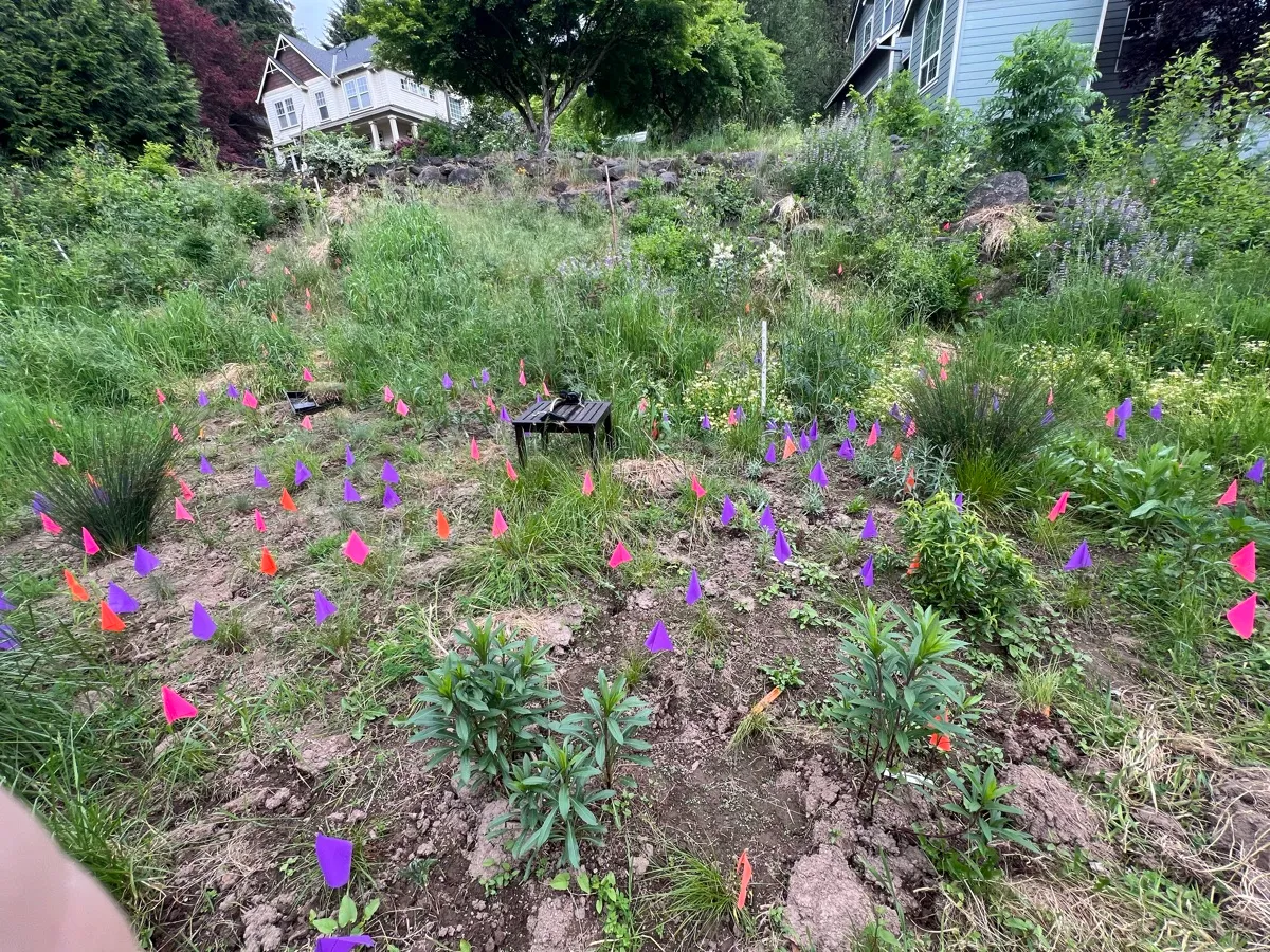 Humble Bee Haven photo 18