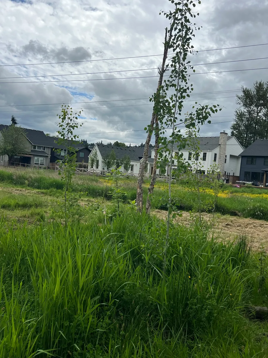 Humble Bee Haven photo 20