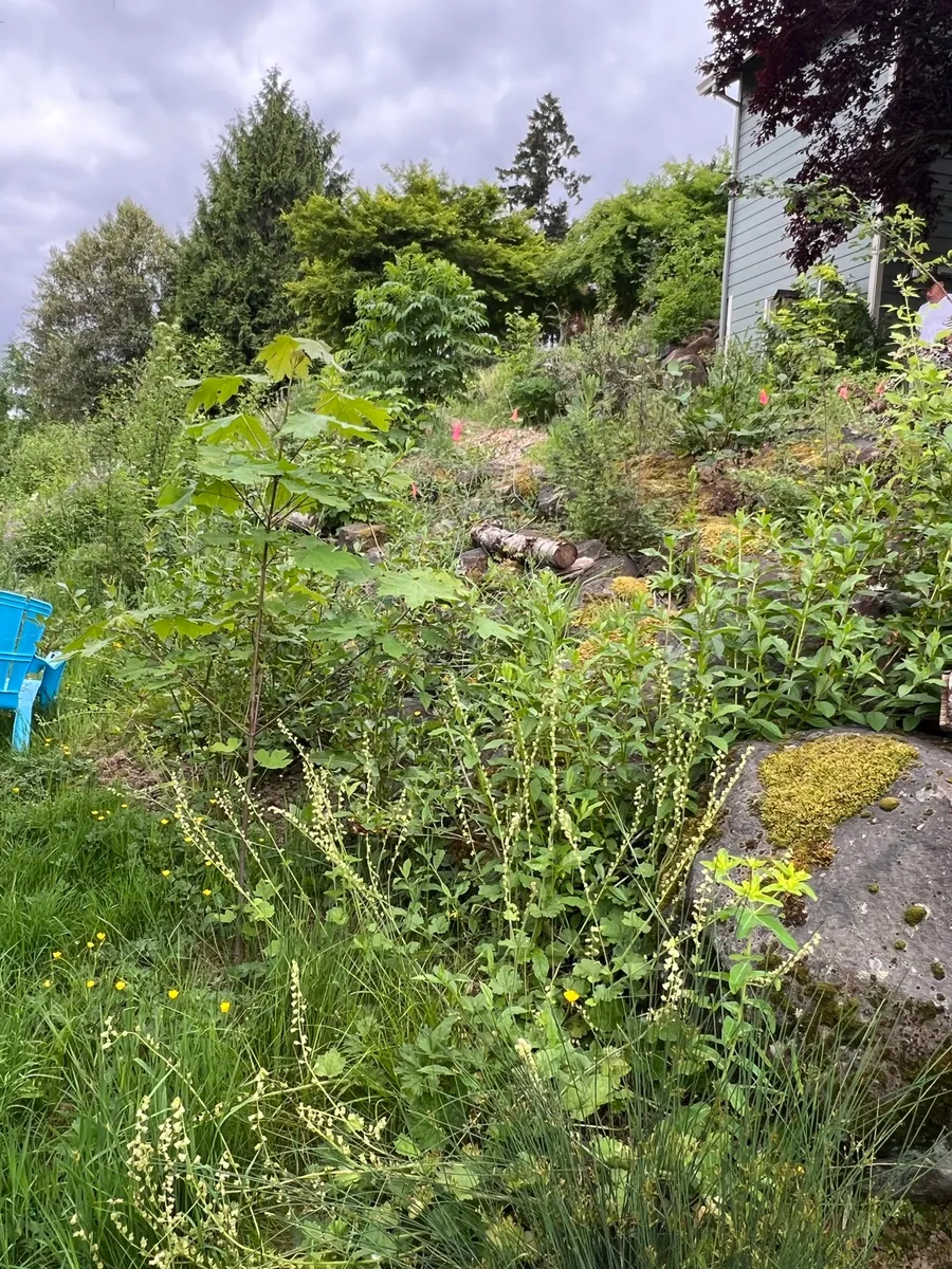 Humble Bee Haven photo 21