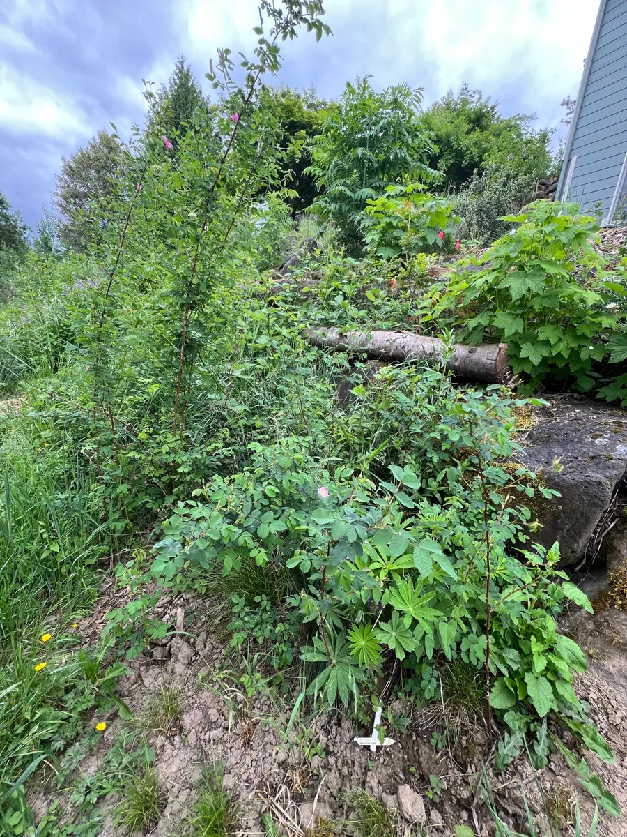 Humble Bee Haven photo 22