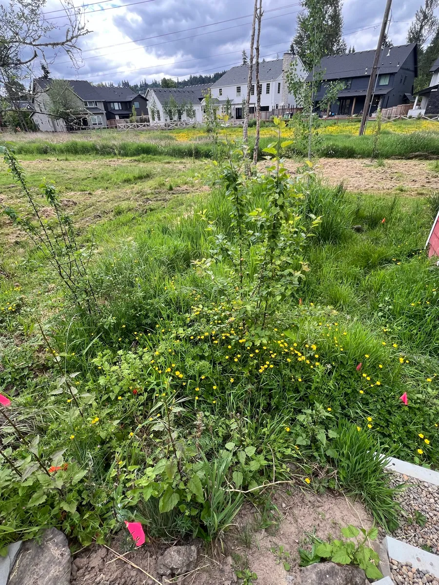 Humble Bee Haven photo 23