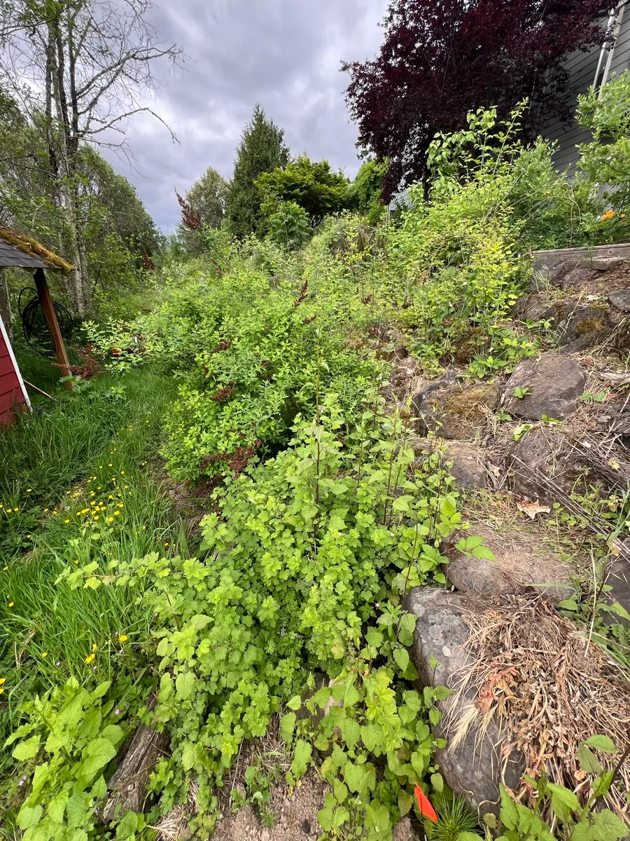 Humble Bee Haven photo 24