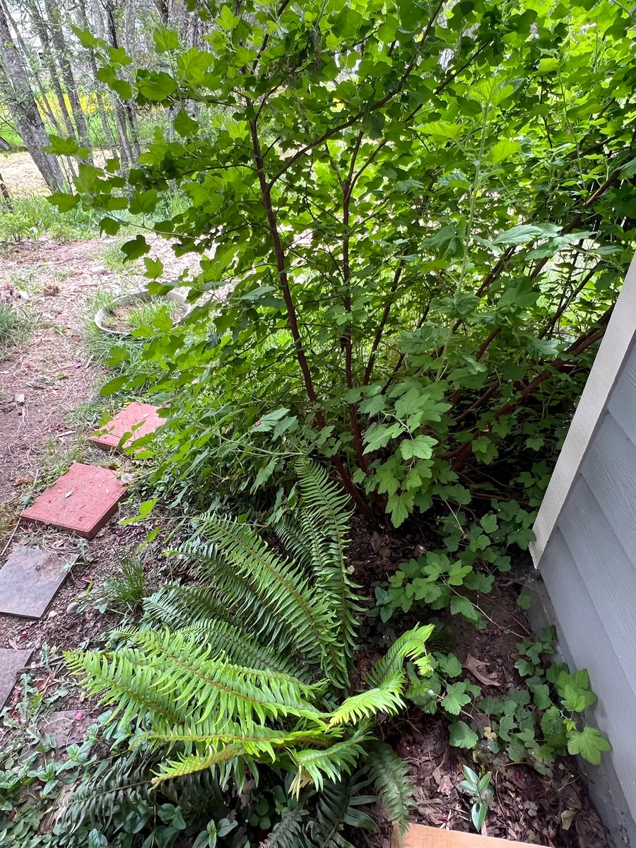 Humble Bee Haven photo 26