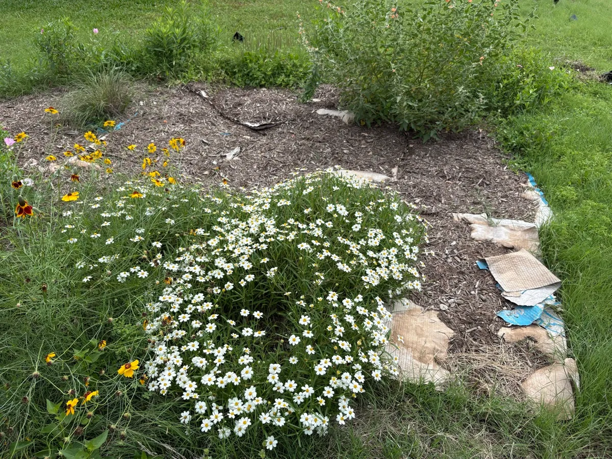 Bumblebee village photo 1