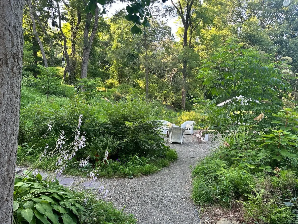 Zoe’s Wonderland photo 24