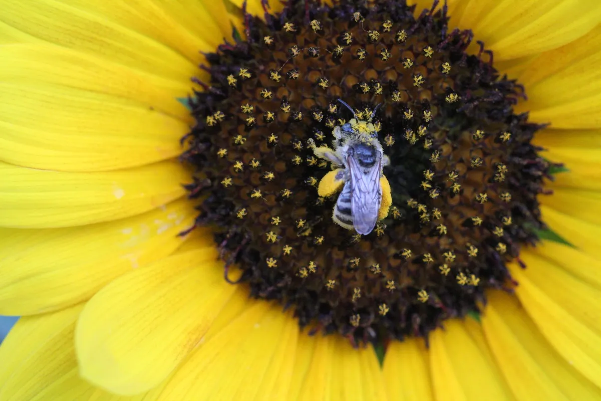 Colorado Botanical Wildlife Sanctuary photo 73