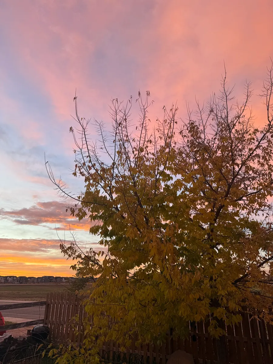 Colorado Botanical Wildlife Sanctuary photo 18