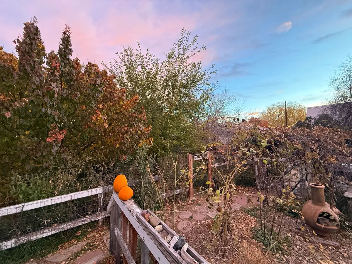 Colorado Botanical Wildlife Sanctuary photo 19
