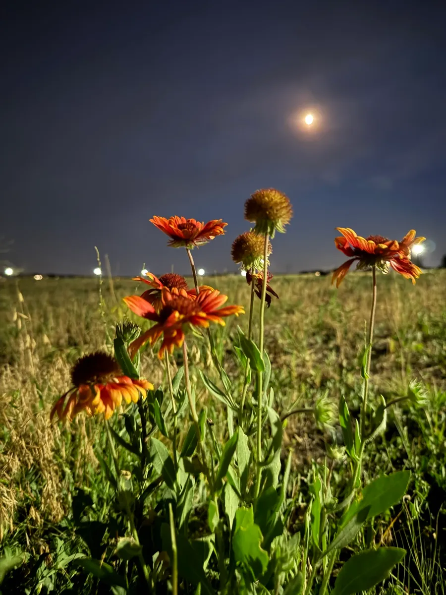 Colorado Botanical Wildlife Sanctuary photo 34