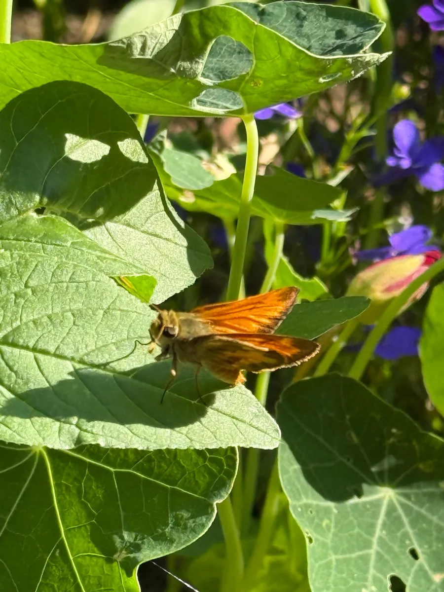 Colorado Botanical Wildlife Sanctuary photo 59