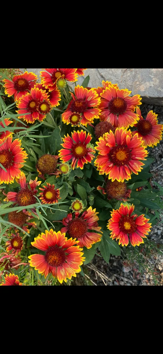 Colorado Botanical Wildlife Sanctuary photo 56