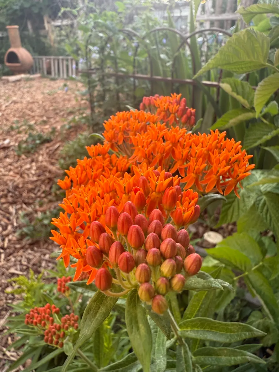 Colorado Botanical Wildlife Sanctuary photo 28