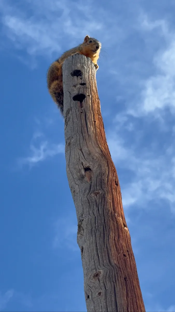 Colorado Botanical Wildlife Sanctuary photo 36