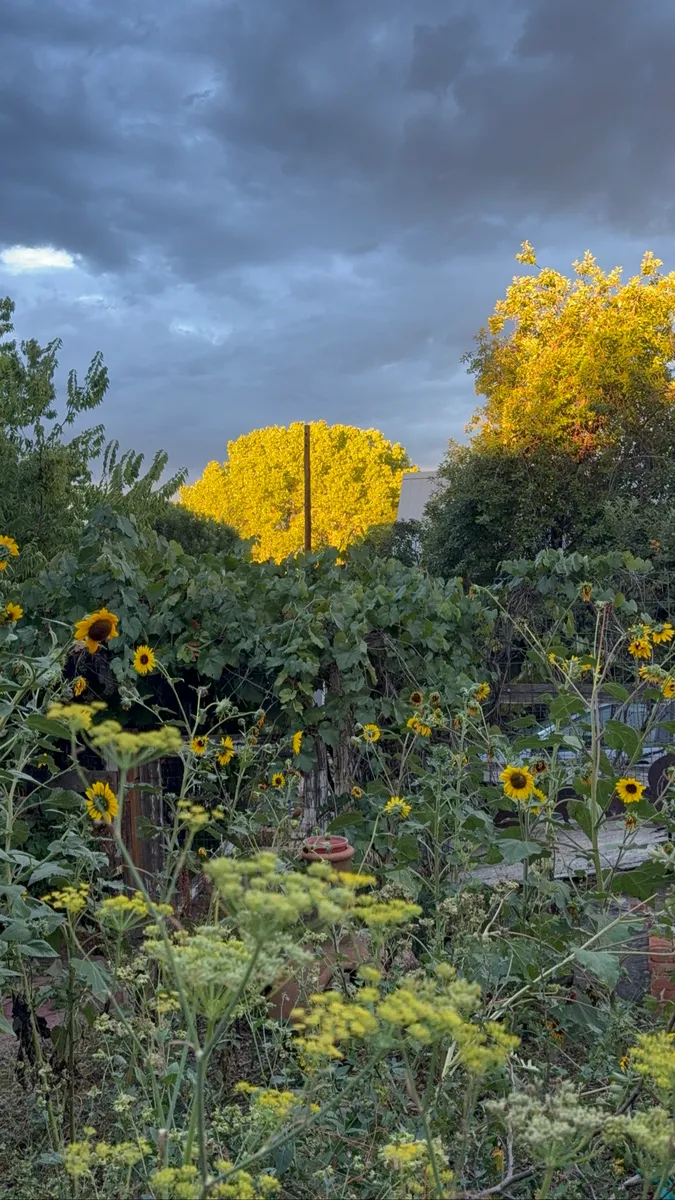 Colorado Botanical Wildlife Sanctuary photo 41