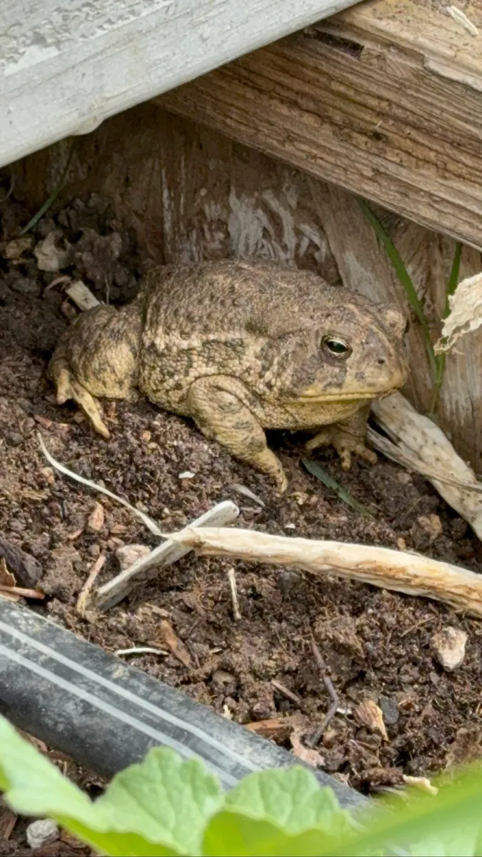 Colorado Botanical Wildlife Sanctuary photo 48