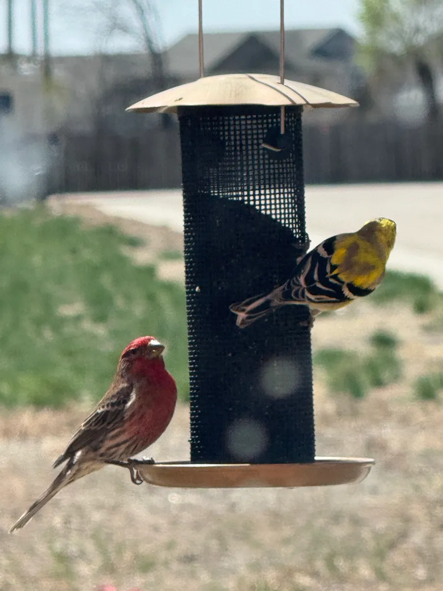 Colorado Botanical Wildlife Sanctuary photo 51