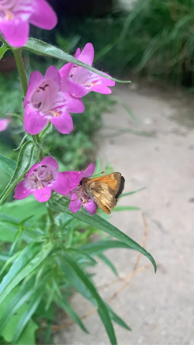 Colorado Botanical Wildlife Sanctuary photo 64