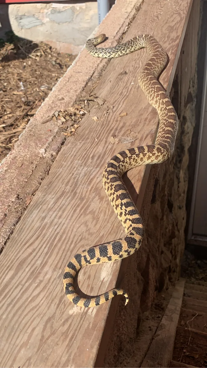 Colorado Botanical Wildlife Sanctuary photo 75