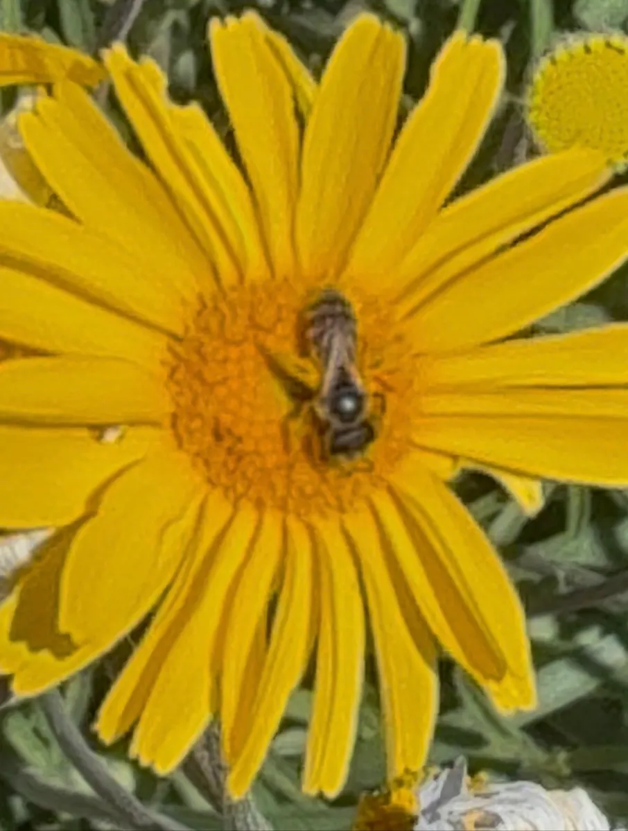 Warren Wildlife Haven photo 2