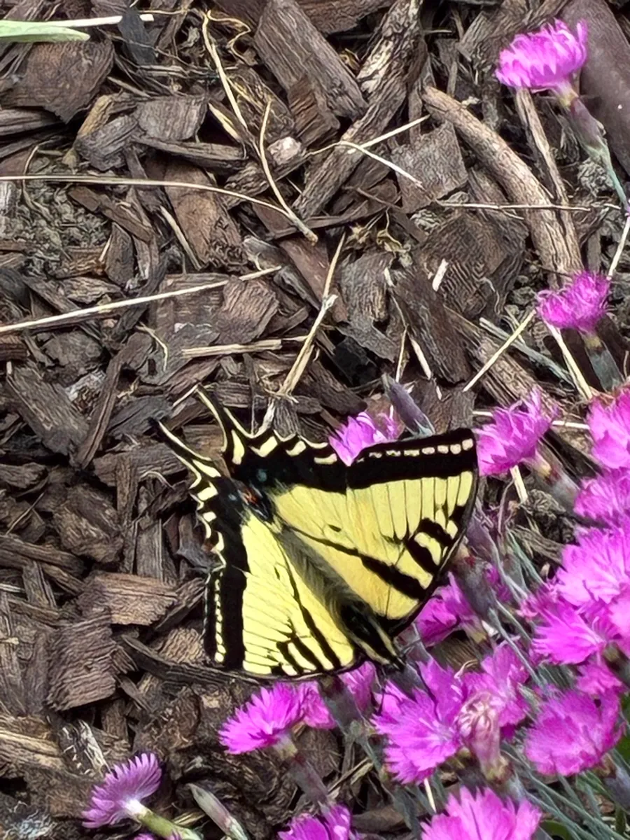 Warren Wildlife Haven photo 4