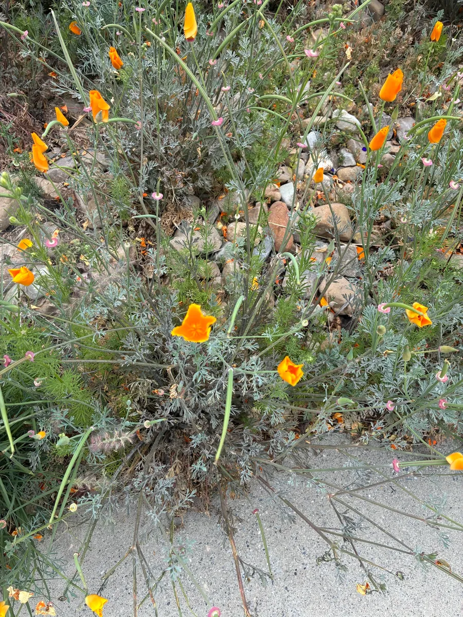 Warren Wildlife Haven photo 6