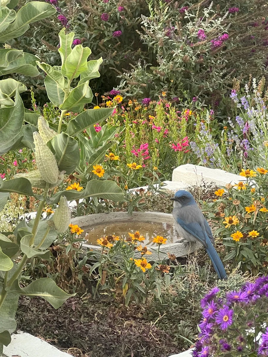 Warren Wildlife Haven photo 8