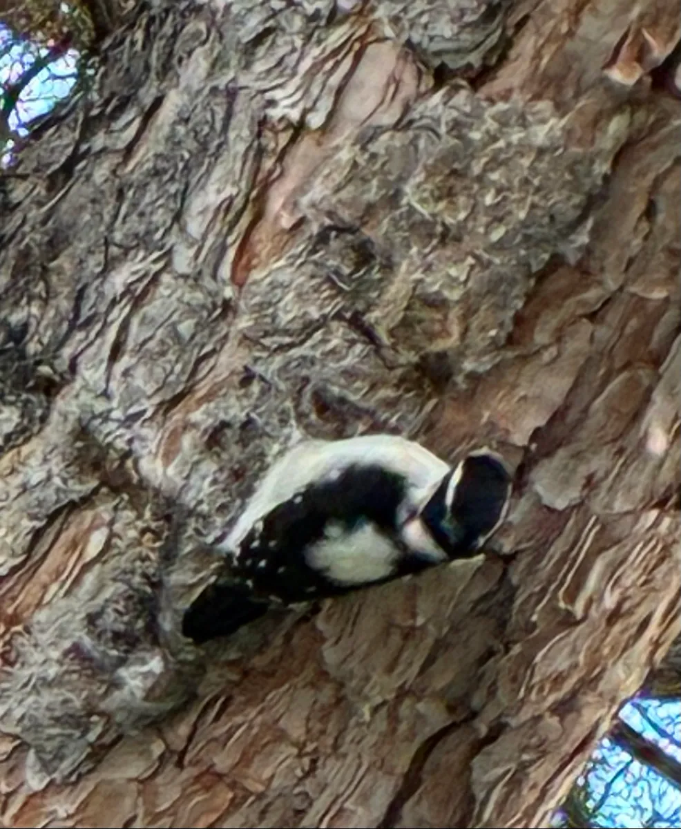 Warren Wildlife Haven photo 11